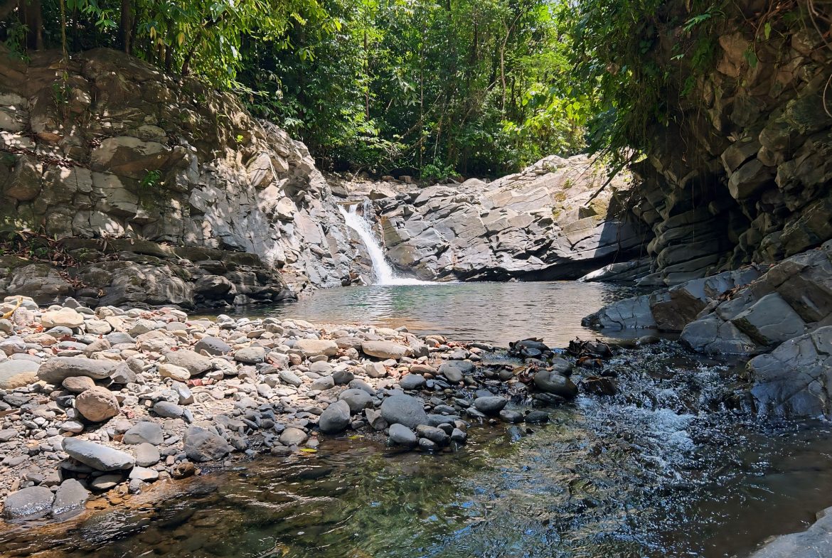 JUNGLE DREAMS FARM: WHERE NATURE MEETS SERENITY – 20 ACRES